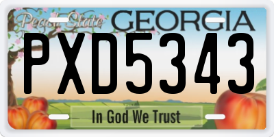 GA license plate PXD5343
