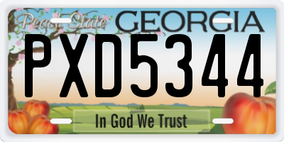 GA license plate PXD5344