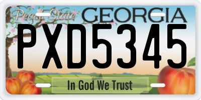 GA license plate PXD5345