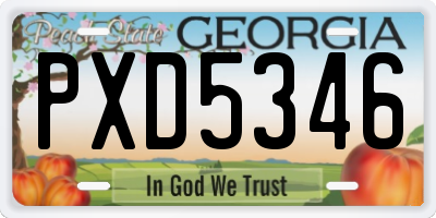 GA license plate PXD5346
