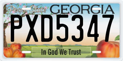 GA license plate PXD5347