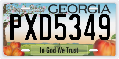 GA license plate PXD5349