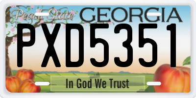GA license plate PXD5351