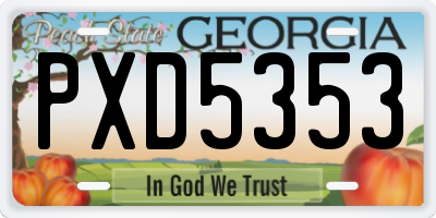 GA license plate PXD5353