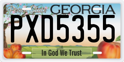 GA license plate PXD5355