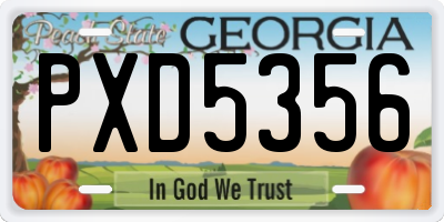 GA license plate PXD5356