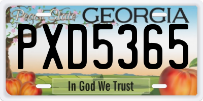 GA license plate PXD5365