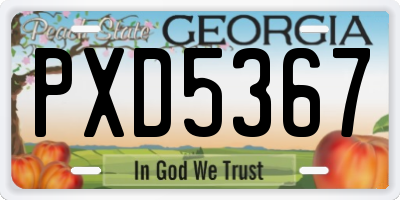 GA license plate PXD5367