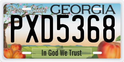 GA license plate PXD5368
