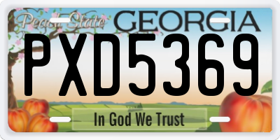 GA license plate PXD5369
