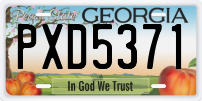 GA license plate PXD5371