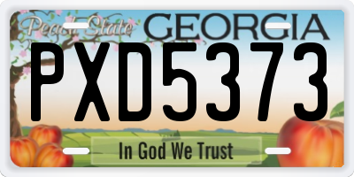 GA license plate PXD5373