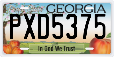 GA license plate PXD5375