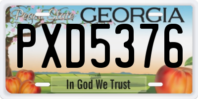 GA license plate PXD5376