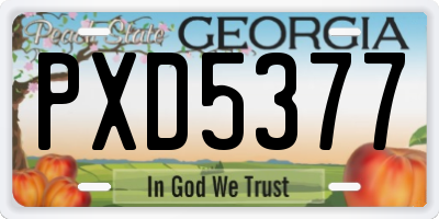 GA license plate PXD5377