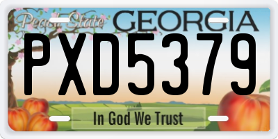 GA license plate PXD5379