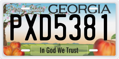 GA license plate PXD5381