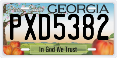 GA license plate PXD5382