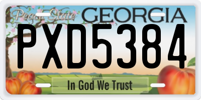GA license plate PXD5384