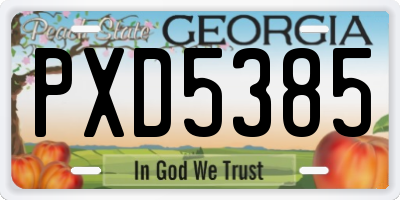 GA license plate PXD5385