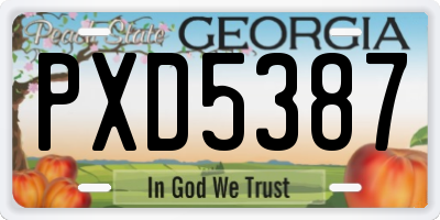 GA license plate PXD5387