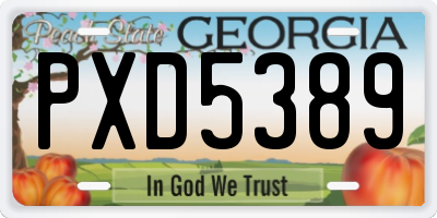 GA license plate PXD5389