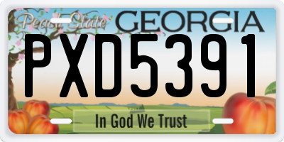 GA license plate PXD5391