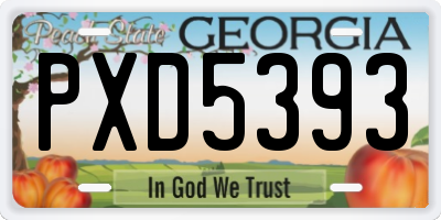 GA license plate PXD5393