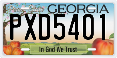 GA license plate PXD5401