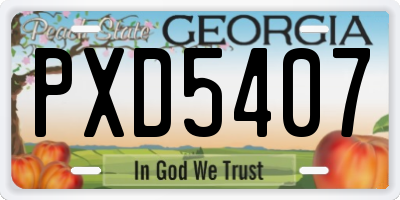 GA license plate PXD5407