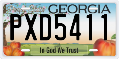 GA license plate PXD5411