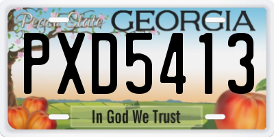 GA license plate PXD5413