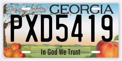 GA license plate PXD5419