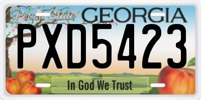 GA license plate PXD5423