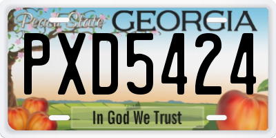 GA license plate PXD5424