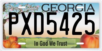 GA license plate PXD5425