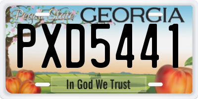 GA license plate PXD5441