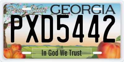 GA license plate PXD5442