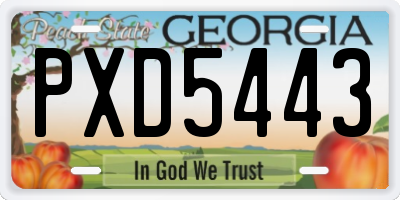 GA license plate PXD5443