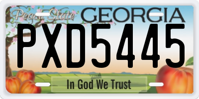 GA license plate PXD5445