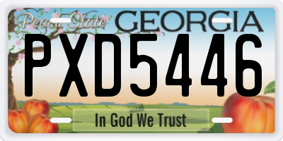 GA license plate PXD5446