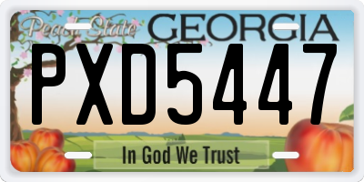 GA license plate PXD5447