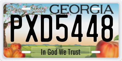 GA license plate PXD5448