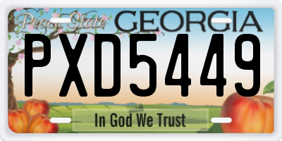 GA license plate PXD5449