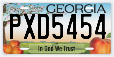 GA license plate PXD5454