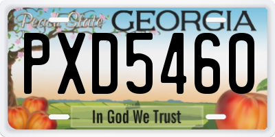 GA license plate PXD5460