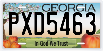 GA license plate PXD5463