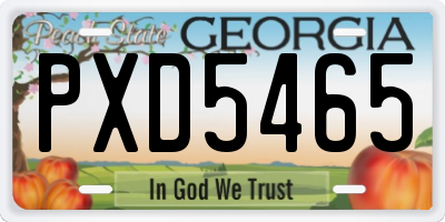 GA license plate PXD5465