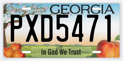 GA license plate PXD5471
