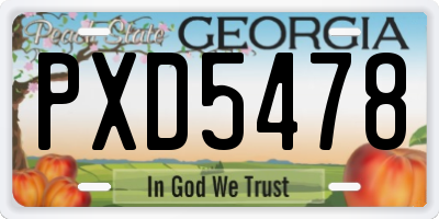 GA license plate PXD5478